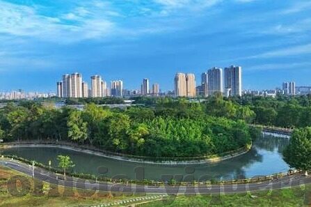 东京热成人在线视频-东京热成人在线视频，网络文化与法律边界的探讨
