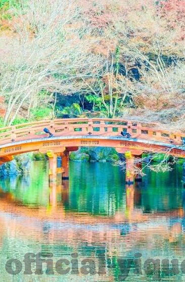 日本高清一道本一区二区三区-探索日本高清影视资源的多元化分布
