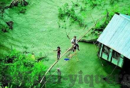 糖心app下载绿色软件-探寻绿色软件下载新大陆，糖心APP的绿色之旅